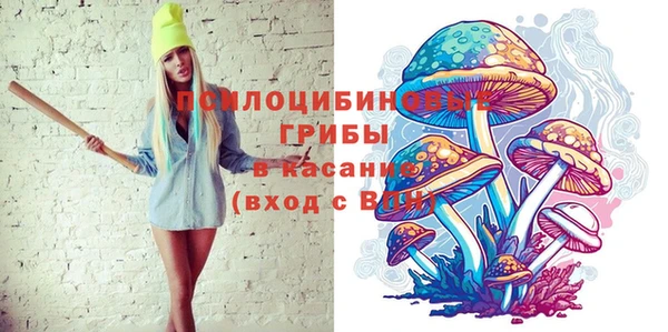 2c-b Алексин
