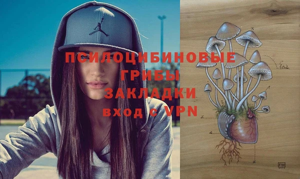 твердый Россошь