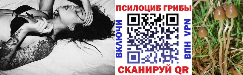 OMG как войти  Тольятти  Галлюциногенные грибы ЛСД 