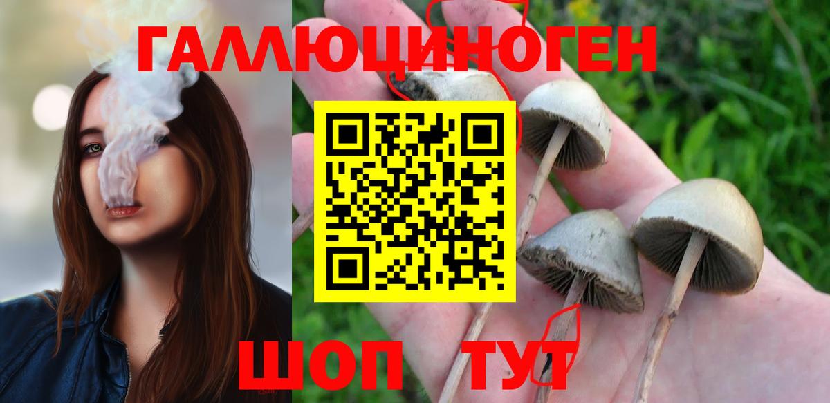 Тольятти  Галлюциногенные грибы мицелий  Вход с VPN 